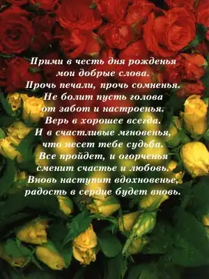 С дюхой тебя Стайл!