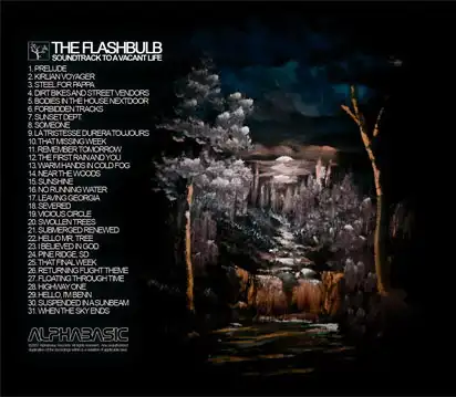 The Flashbulb - Soundtrack To A Vacant Life (2008)