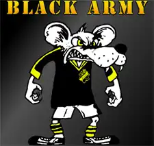Black Army - поддерживающая клуб АИК