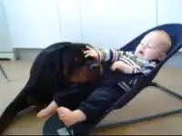 Позитивчик ) Ребенок и собака