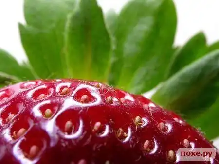 внимание КЛУБНИЧКА!!!!!!!!