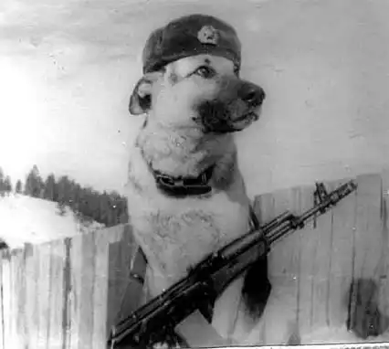 28 мая.Пограничным войскам 90 лет!