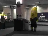 Сука банан
