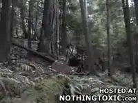 Падение с велика