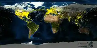 Карта полетов самолетов всего мира в течении суток.