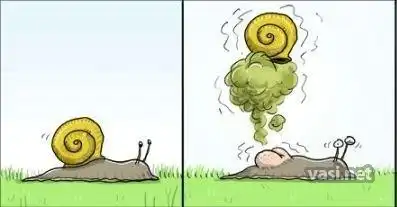 Подборка фото