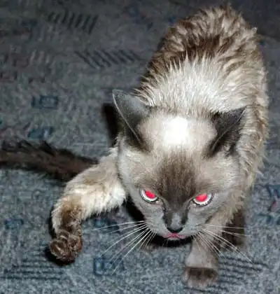 ааааааа.....страшно!!!!