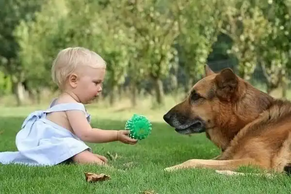 Дети и животные - лучшие друзья