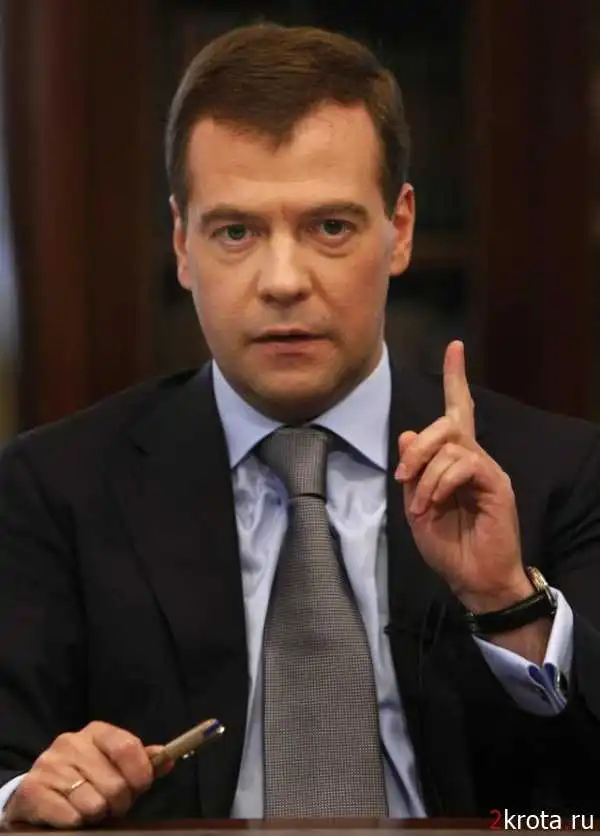 Письмо президенту Медведеву