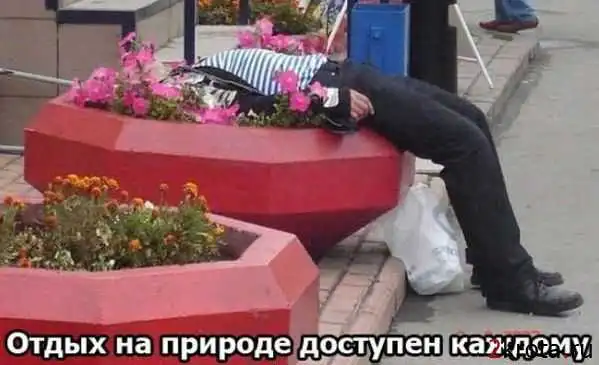 За что люблю свою страну