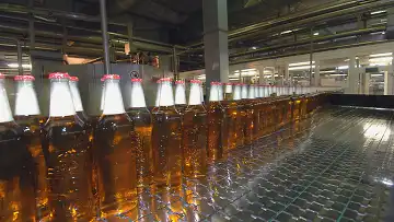 Законопроект, приравнивающий пиво к алкоголю, внесен в Госдуму