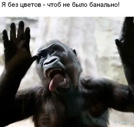 Забавные животные)))))