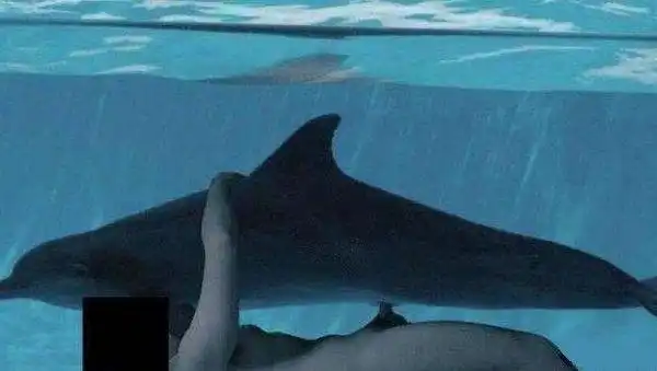 Откуда русалки беруца ...