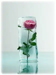 Ледяная роза [hand-made]
