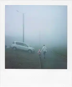 Выставка «Polaroid» в Санкт-Петербурге
