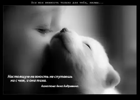 Картинки со смыслом без всяких якобы