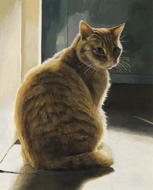 Рисованные коты