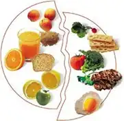 Здоровый образ жизни и правильное питание: Способы питания.