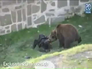 Нападение медведя на человека