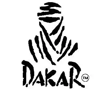 Дакар 2010 (11-й этап)