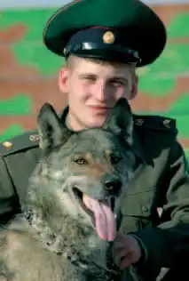 Пограничные войска.