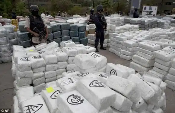 В Мексике изъята партия марихуаны весом в 105 тонн