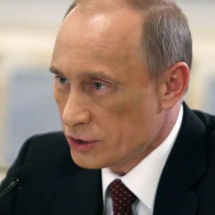 Путин и синяк