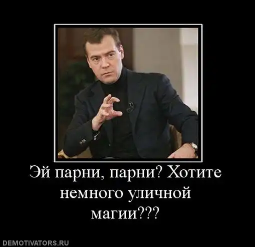 Чем владеет семья Медведева