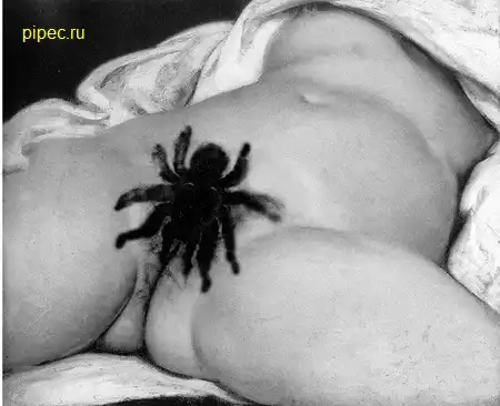 Вы думали я про вас забыл? вот и получите по самые не балуйся