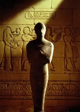 Топ-10 Самых необычных свадеб