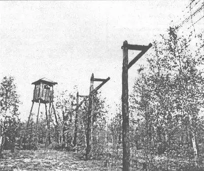 Мертвая дорога