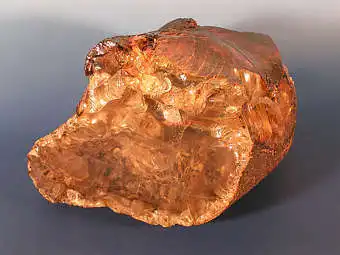 Ученые нашли кусок янтаря возрастом 95 миллионов лет!