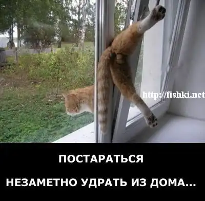 уррраааа, пятницаааа!!!!