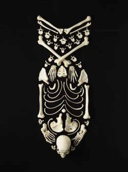 Предметы искусства из настоящих человеческих костей