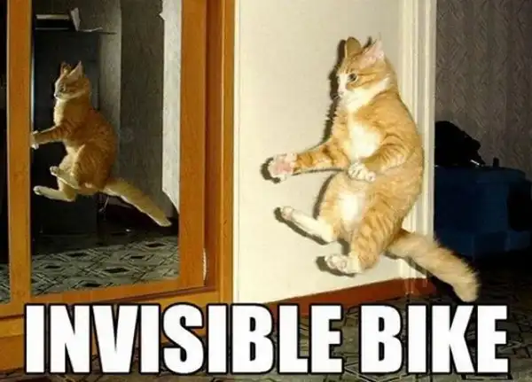 Кошка и невидимый предмет