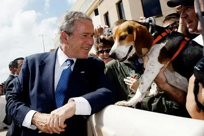 Самые смешные фотографии президента Буша