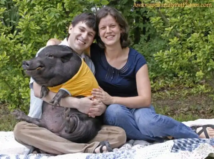 Смешные и странные семейные фотографии с животными