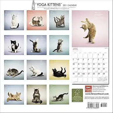 Йога - календарь на 2011 год
