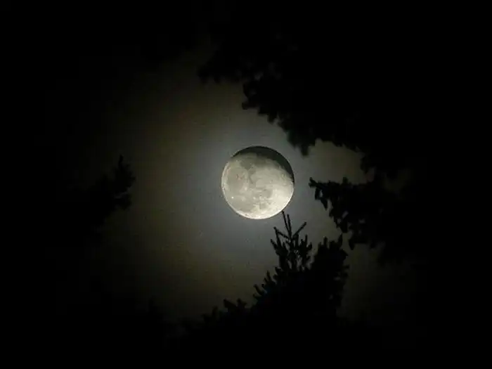 Лучшие фотографии Луны