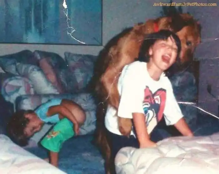 Смешные и странные семейные фотографии с животными. Часть 2