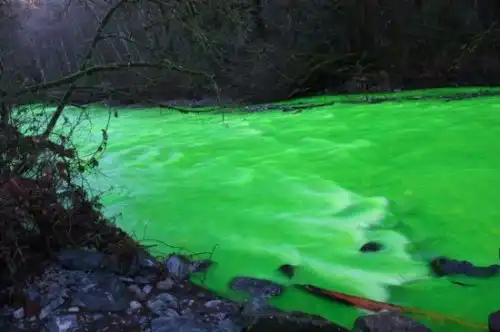 Зелёная река.