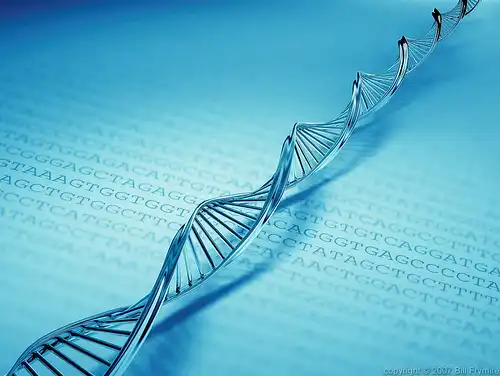 Самый длинный код ДНК