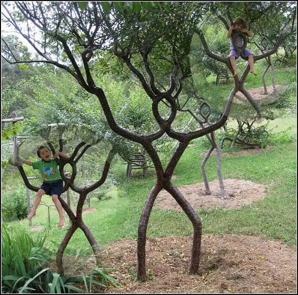 Живые деревянные скульптуры: Tree shaping