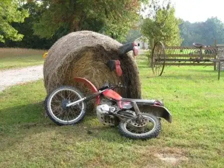 Развлечения американских фермеров.