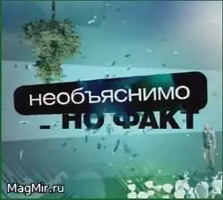 Интересные факты