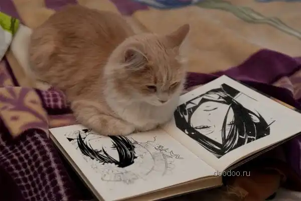 Читающие кошки