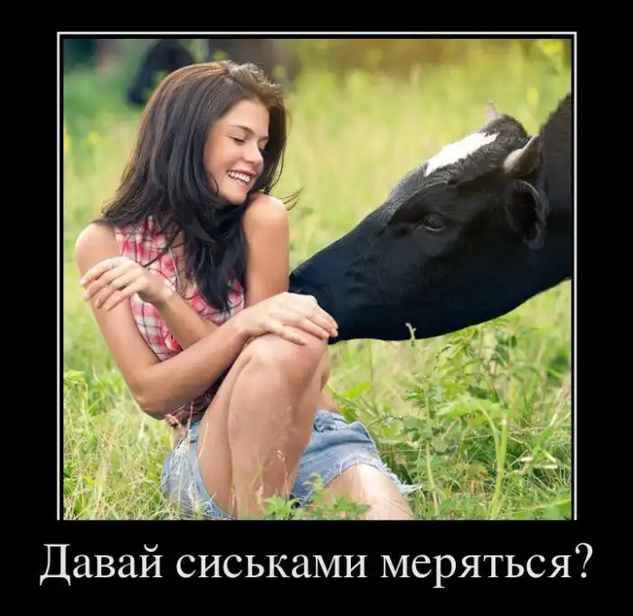 Картинки в черной рамке