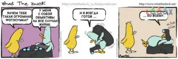 Веселые картинки