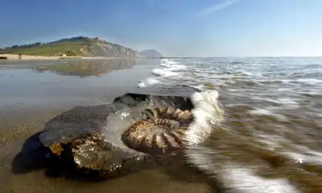 Пляж Юрского периода, Лайм Реджис