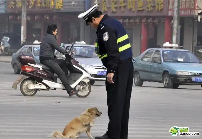 Полицейский и собака